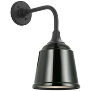 Academy Rex 11" Barn Light Outdoor Wall Lantern in Matte Black