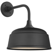 Academy Rex 11" Barn Light Outdoor Wall Lantern in Matte Black