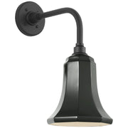 Academy Rex 11" Barn Light Outdoor Wall Lantern in Matte Black