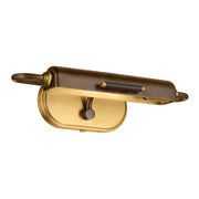 Caillier Picture Light in Lacquered Bronze