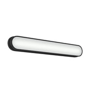 Daines Large LED Bath Vanity Light in Black