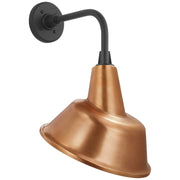 Academy Rex 11" Barn Light Outdoor Wall Lantern in Matte Black