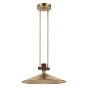 Tenon 20" Pendant in Champagne Bronze