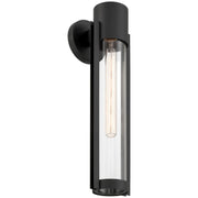 Coastal 20" LED Outdoor Wall Sconce in Black