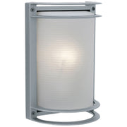 Nevis Outdoor Wall Sconce in Satin