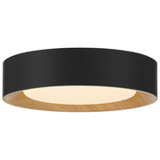 Maddy Small LED Flush Mount in Matte Black