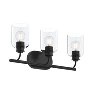 Reines 3-Light Clear Glass Bath Vanity Light in Matte Black