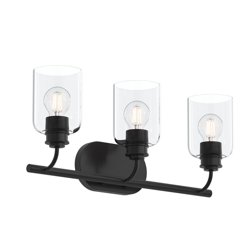 Reines 3-Light Clear Glass Bath Vanity Light in Matte Black