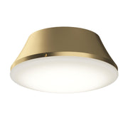 Avra 3-Light Flush Mount in Brushed Gold