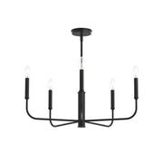 Reines 5-Light Chandelier in Matte Black