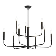 Reines 9-Light Chandelier in Matte Black