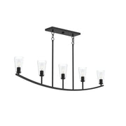 Jheni 5-Light Clear Glass Linear Chandelier in Matte Black