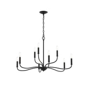Ilia 9-Light Chandelier in Matte Black