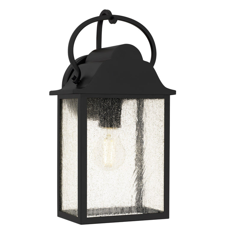Damian Outdoor Wall Lantern in Matte Black