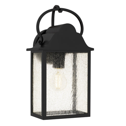 Damian Outdoor Wall Lantern in Matte Black