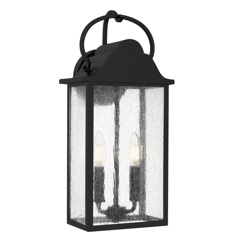 Damian 2-Light Outdoor Wall Lantern in Matte Black