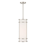 Porter Mini Pendant in Satin Nickel