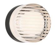 Sternn 5" Outdoor Wall Light in Matte Black
