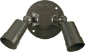 Transitional Wall Mount in Bronze