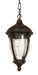 AC8595OB- Anapolis Outdoor Ceiling Light in Oil Rubbed Bronze by Artcraft