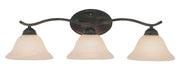 Hollyslope 3-Light 26" Vanity Light in Rubbed Oil Bronze