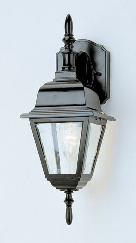 Argyle 1-Light Wall Lantern in Black with Clear Glass