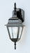 Argyle 1-Light Wall Lantern in Black with Clear Glass