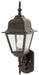 Argyle 1-Light Wall Lantern in Black with Clear Glass