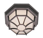 Benkert 1-Light Flushmount Lantern in Black with Frosted Glass