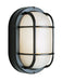 Aria 1-Light Bulkhead in Black with Ribbed Frosted Glass