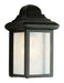 Vista 1-Light Pocket Lantern in Black with Clear Glass