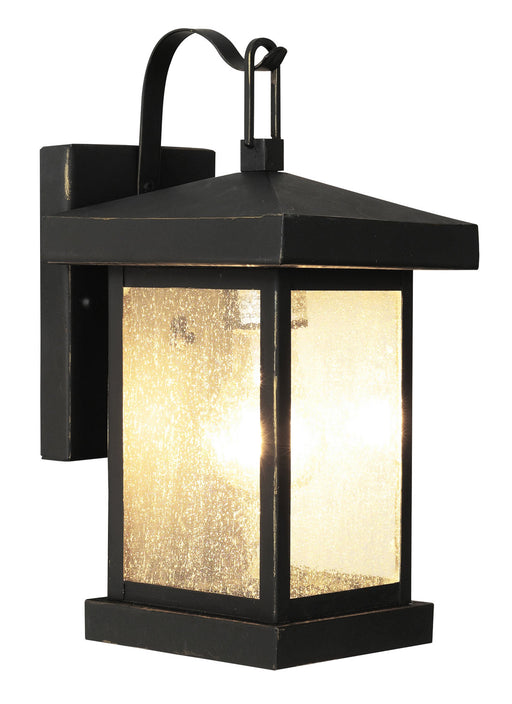 Santa Cruz 1-Light Wall Lantern in Weathered Bronze with Clear Seeded Glass