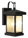 Santa Cruz 1-Light Wall Lantern in Weathered Bronze with Clear Seeded Glass