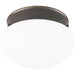 Fitter Two Light Flush Mount in Antique Bronze