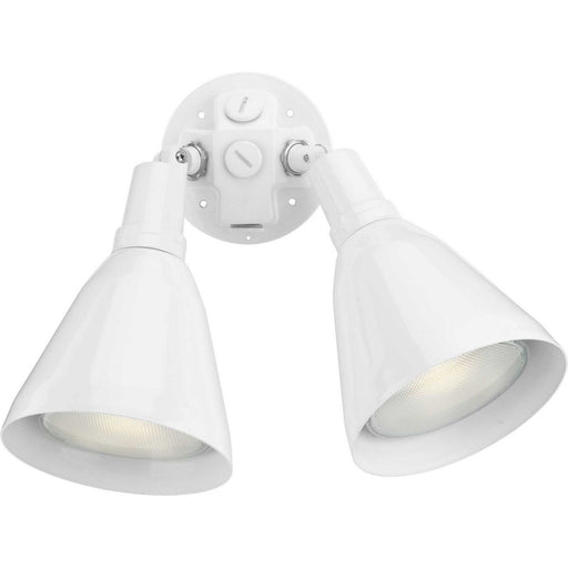 Par Lampholder 2-Light 22.5" Outdoor Flood Light in White