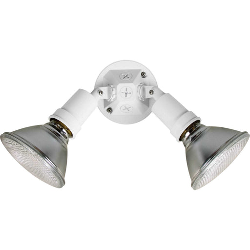 Par Lampholder Two Light Adjustable Swivel Flood Light in White