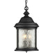 Ashmore Three Light Hanging Lantern in Textured Black