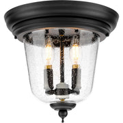 Ashmore 2-Light Close-to-Ceiling - Lamps Expo
