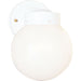 Utility Lantern One Light Wall Lantern in White