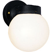 Utility Lantern Globe Outdoor Wall Lantern in Black