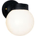 Utility Lantern One Light Wall Lantern in Black