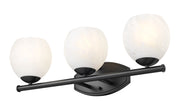 Colette 3 Light 24" Vanity in Matte Black
