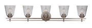Drake 5 Light 42" Vanity in Brushed Polished Nickel