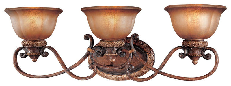 Illuminati 3-Light Bath Vanity Light in Illuminati Bronze