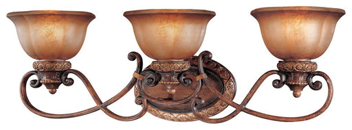 Illuminati 3-Light Bath Vanity Light in Illuminati Bronze