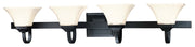 Agilis 4-Light Bath Vanity Light in Black