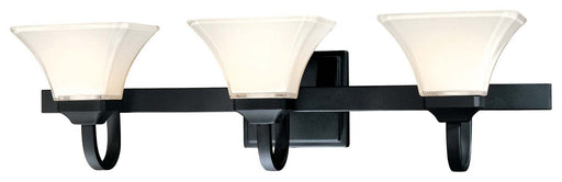 Agilis 3-Light Bath Vanity Light in Black