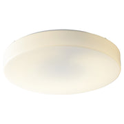 Rhythm 14" Ceiling Mount in White
