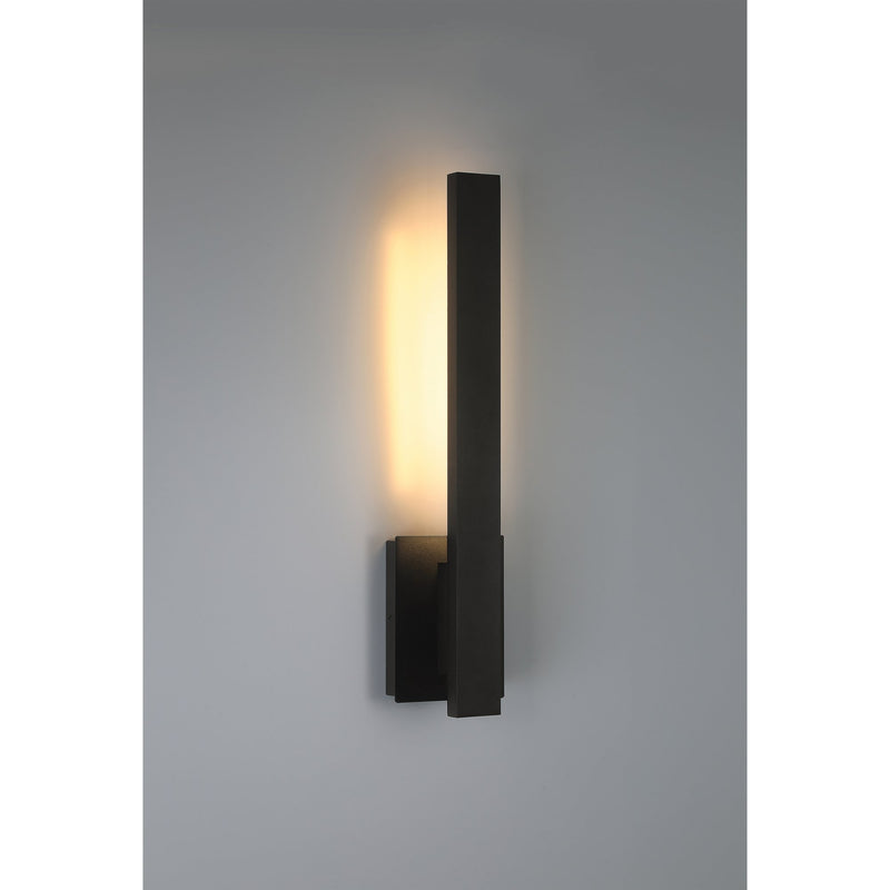 Cannon LED Outdoor Wall Washer in Black
