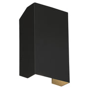 Amora Tall LED Outdoor Wall Sconce in Black